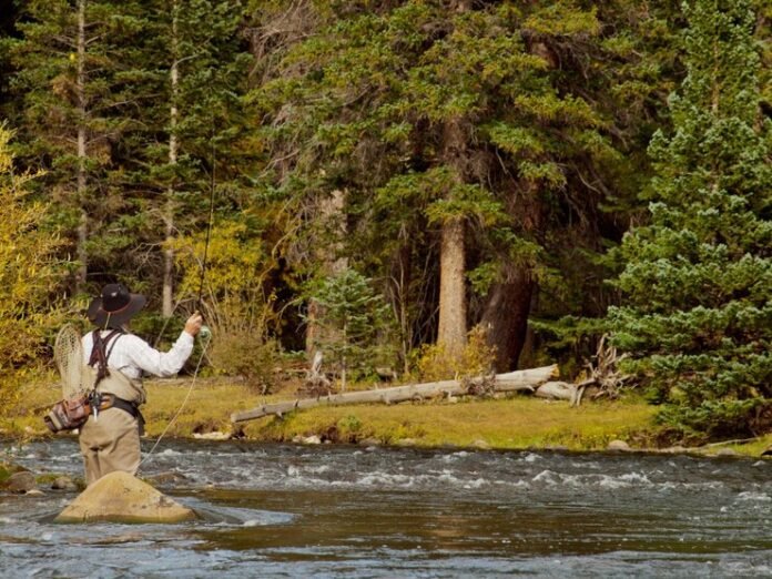 maverick campground new mexico fishing