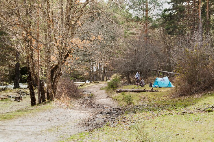 davidson river campground
